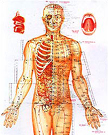 Acupuncture Meridians